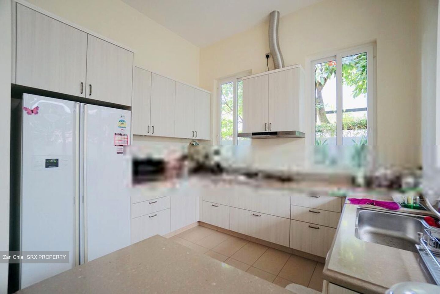 Raffles Park (D11), Detached #401191191